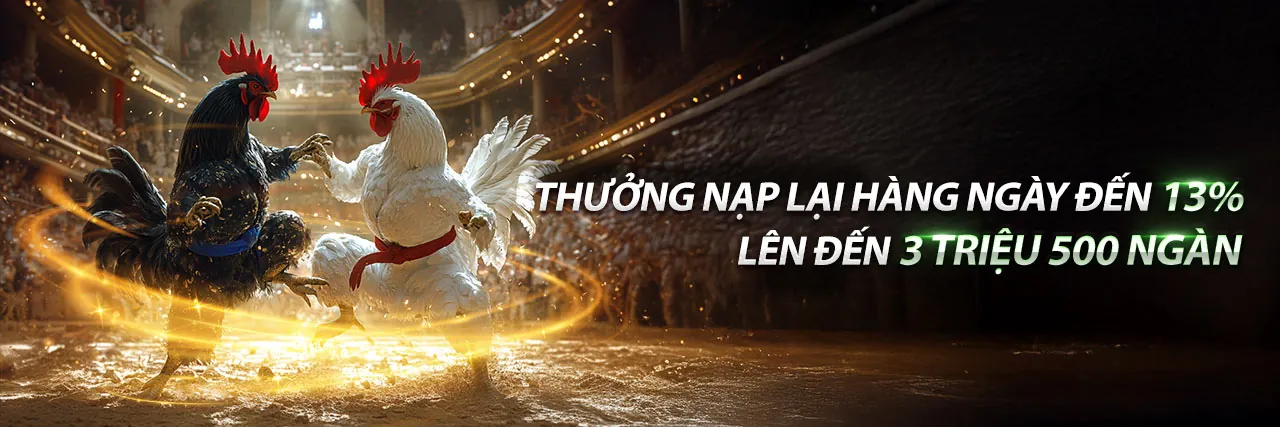 Hình ảnh quảng bá các ưu đãi mới nhất tại TDTC Trang Chủ
