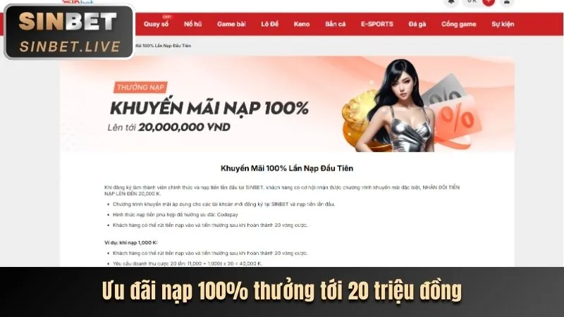Chương Trình VIP & Phần Thưởng Độc Quyền TDTC